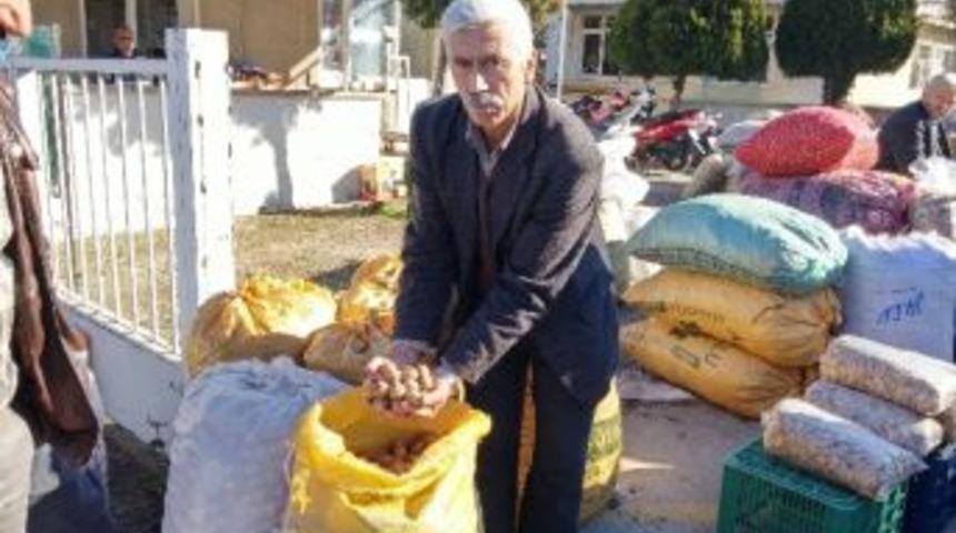 Ege&rsquo;nin Kestane Ve Ceviz Ambarı Tire