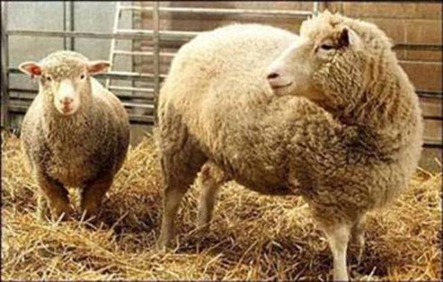 Dünyadaki bazı ilkler 38