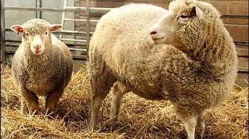 D&uuml;nyadaki bazı ilkler