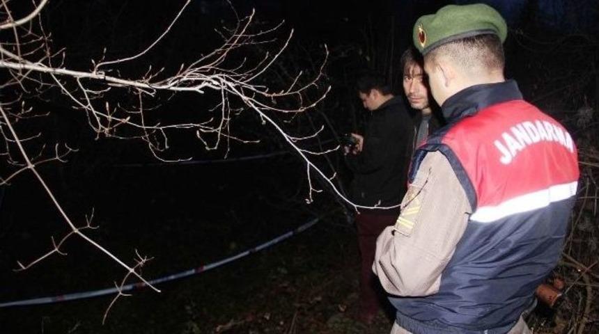 Dere Kenarında İnsan Kemikleri Bulundu