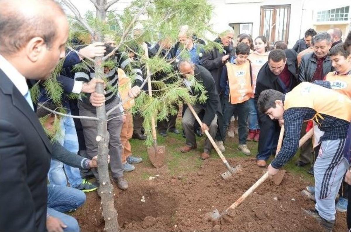 Viranşehir&rsquo;de Aky&uuml;rek Tema Vakfı İle Ağa&ccedil; Dikti