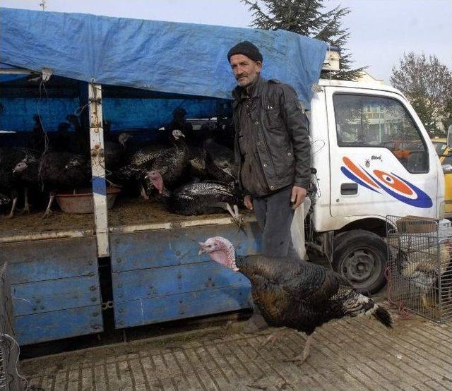 Her Keseye Uygun ‘hindi’ Seçeneği