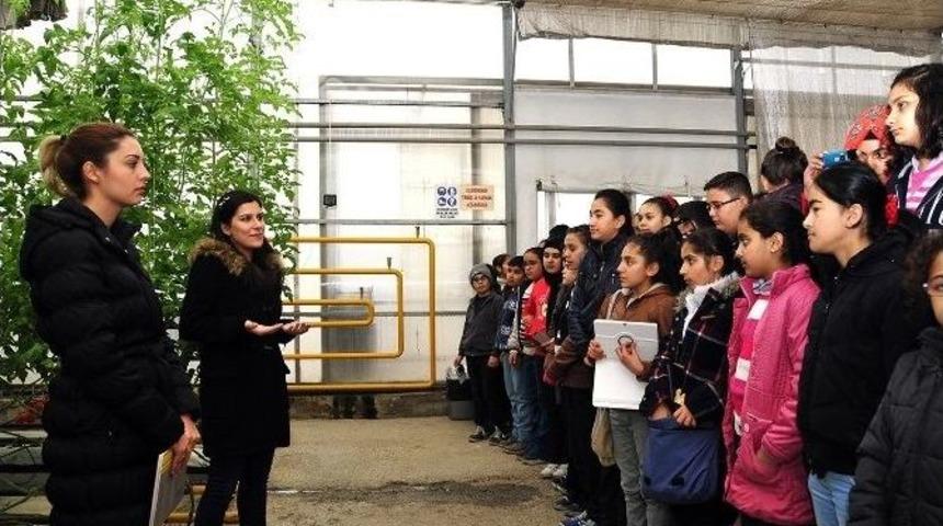 Bilgi Evi &Ouml;ğrencileri Geri D&ouml;n&uuml;ş&uuml;m&uuml; Yerinde &Ouml;ğrendi