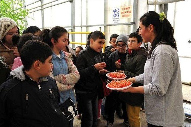 Bilgi Evi Öğrencileri Geri Dönüşümü Yerinde Öğrendi