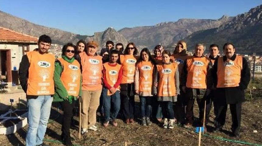 Tema &Uuml;niversite El Ele