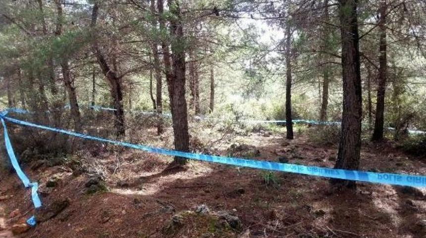 Başı, El Ve Ayak Bilekleri Kesik Kadın Cesedi Bulundu