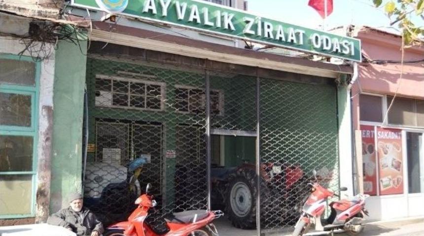 Ayvalık Ziraat Odasında Delege Se&ccedil;imi Heyecanı