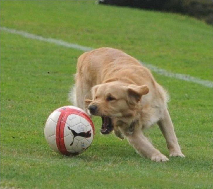 Samsunspor’da Durmak Yok, Çalışmaya Devam G1