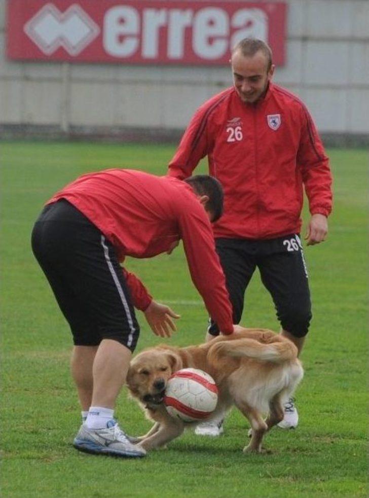 Samsunspor’da Durmak Yok, Çalışmaya Devam G2