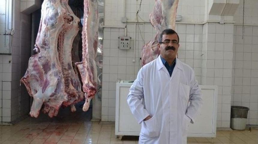 Keşan Mezbahası, Kesimlerinin Y&uuml;zde 75&rsquo;ini İstanbul&rsquo;a Yapıyor