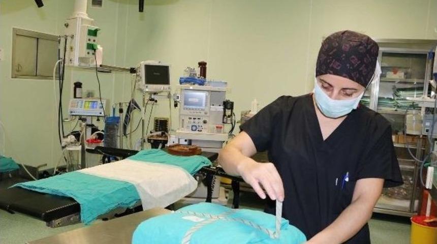 Seah Kadın Doğum Servisinde Yenilikler Yapıldı