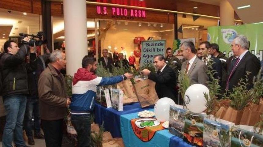 'ağa&ccedil; Kesmeyelim Fidan Dikelim'