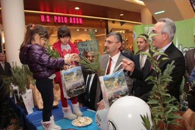 'ağaç Kesmeyelim Fidan Dikelim'