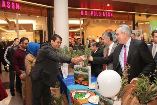 'ağaç Kesmeyelim Fidan Dikelim'