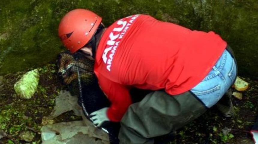 Kuyuya D&uuml;şen Tilkiyi Akut Kurtardı