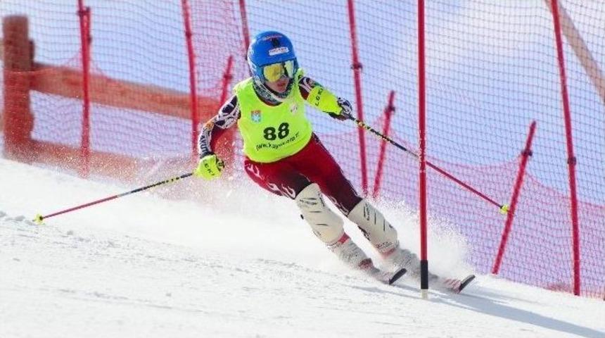 Alp&rsquo;in Yeni Krali&ccedil;esi