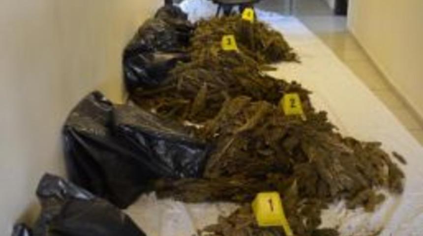 Polisten Ka&ccedil;an Ara&ccedil;ta 53 Kilo Esrar Ele Ge&ccedil;irildi