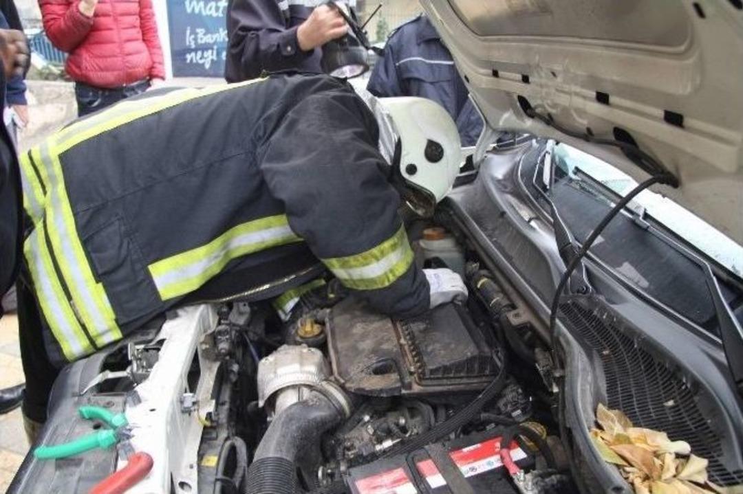 (&ouml;zel Haber) Gaziantep&rsquo;te Kedi Kurtarma Operasyonu