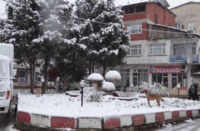 Bilecik’in Gölpazarı İlçesine Yılın İlk Karı Düştü