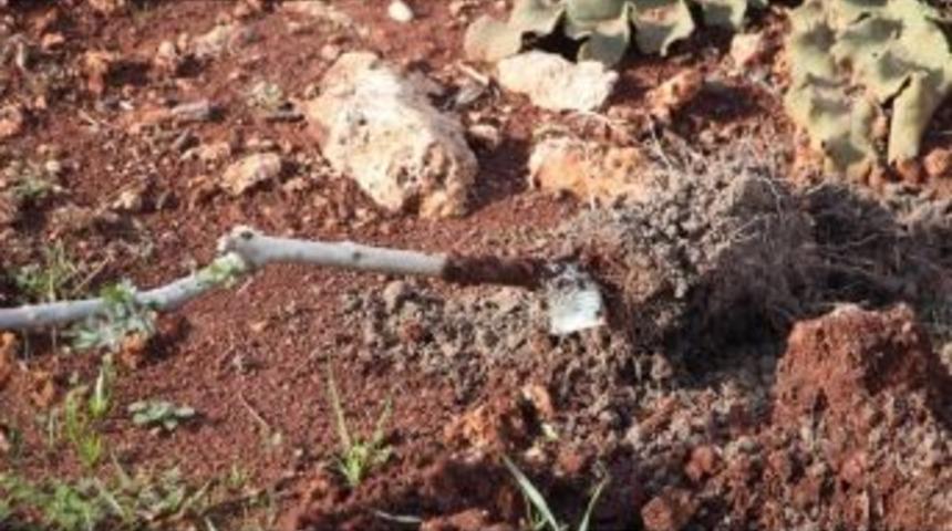 Başkan Şahin: "işgallere G&ouml;z Yumamayız"