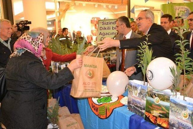 Yılbaşı İçin Manisalılara 10 Bin Fidan Dağıtıldı