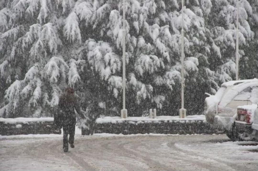 Sakarya &Uuml;niversitesi Kamp&uuml;s&uuml; Beyaza B&uuml;r&uuml;nd&uuml;