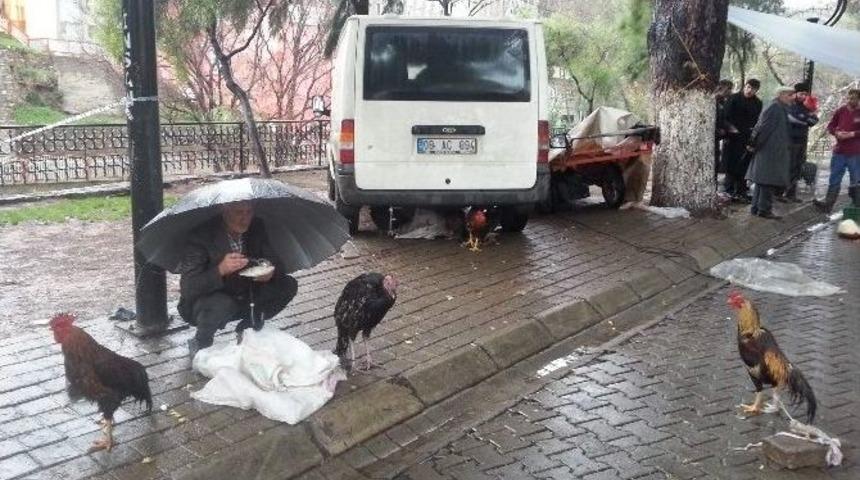 Yılbaşı Hindileri Elde Kaldı