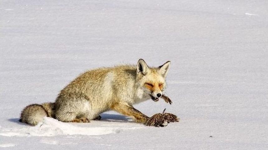 Fotoğraf Sanat&ccedil;ısı Murat Kaya Mansiyon &Ouml;d&uuml;l&uuml; Aldı