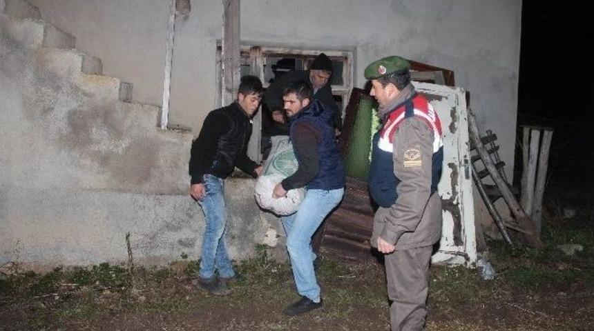 Nohut Hırsızları Jandarmadan Ka&ccedil;amadı