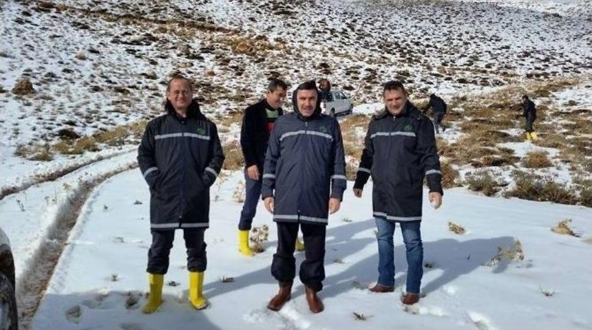 Dsi, Kaş İl&ccedil;esinde Et&uuml;t &Ccedil;alışması Yaptı