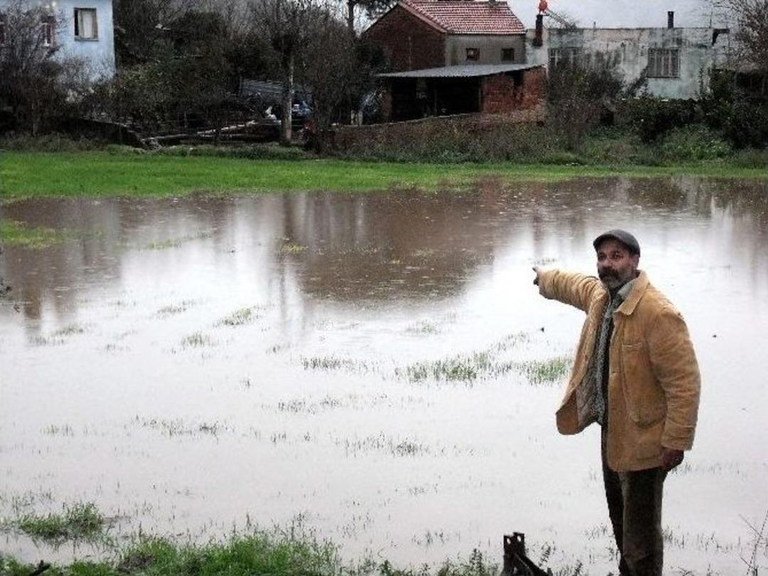 S&ouml;ke&rsquo;de Kisir &Ccedil;ayı Taştı
