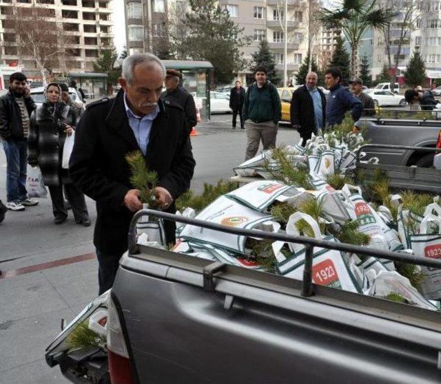 Yılbaşında Çam Kesilmemesi İçin Çam Fidanı Dağıttılar