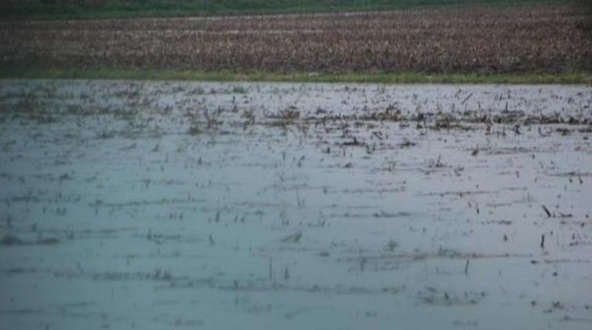 Menderes Nehri Taşma Sınırında