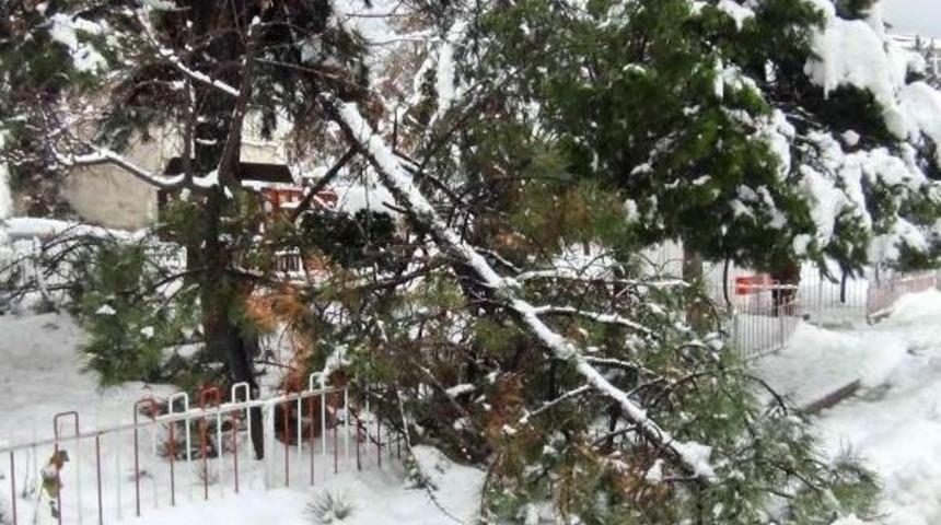 Simav'da Kar Kalınlığı 70 Santime Ulaştı