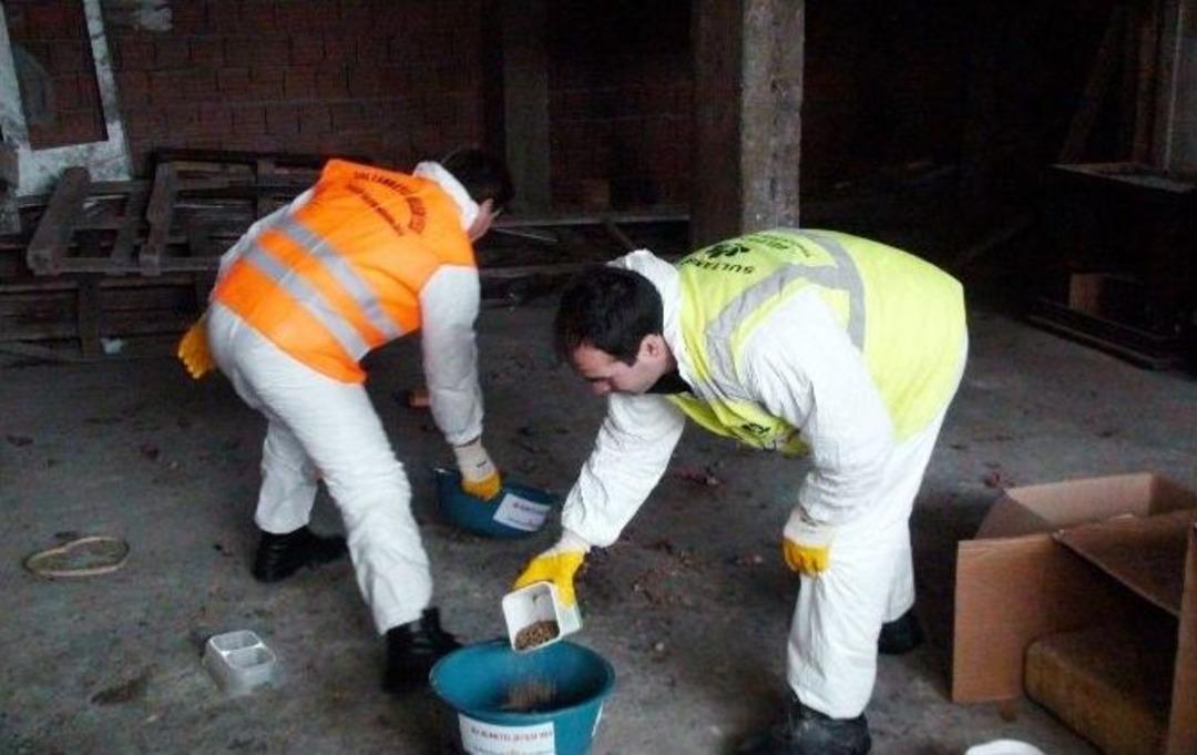 Sultanbeyli&rsquo;de Sokak Hayvanları Unutulmadı