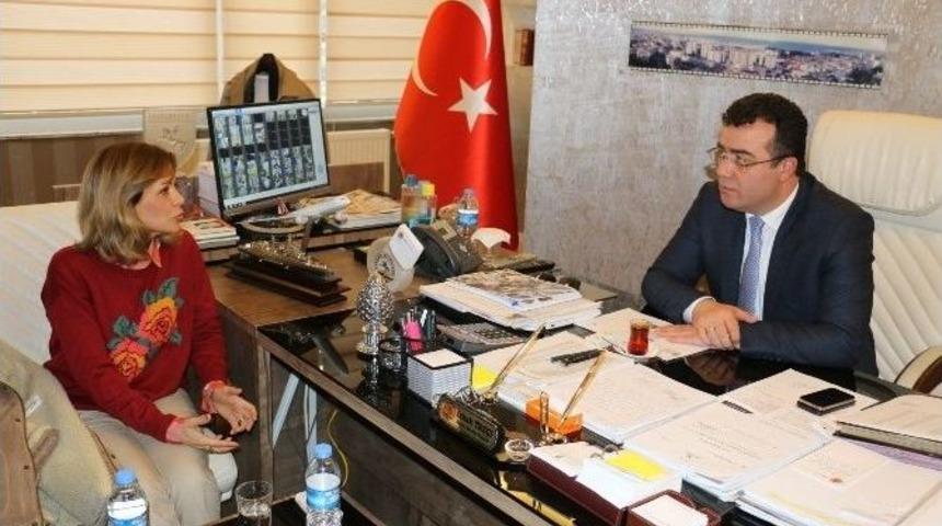 Om&uuml;&rsquo;de 40. Yıl Hazırlığı