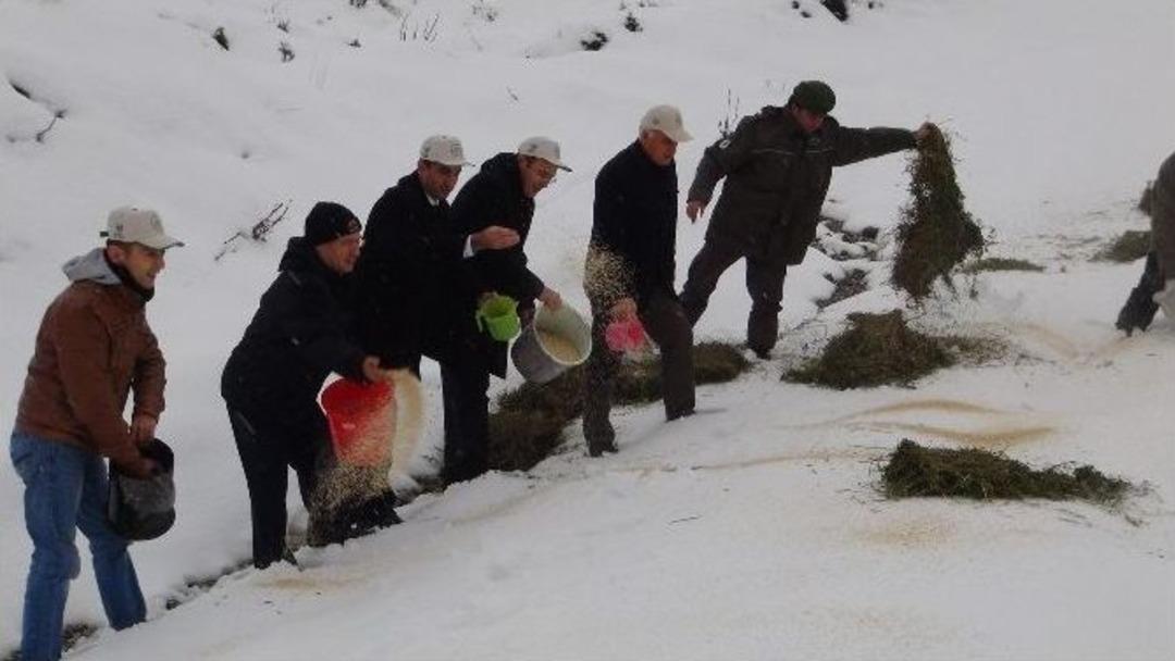 Manisa&rsquo;da Yaban Hayatı Unutulmadı