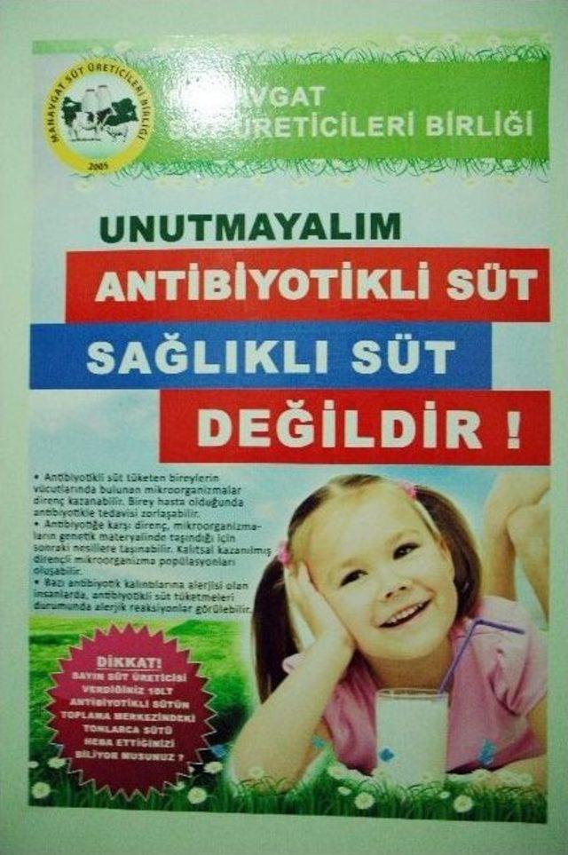 Broşürlü ’antibiyotikli Süt’ Uyarısı