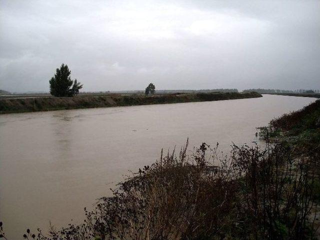 Söke Ovası’nda Ekili Arazileri Su Bastı