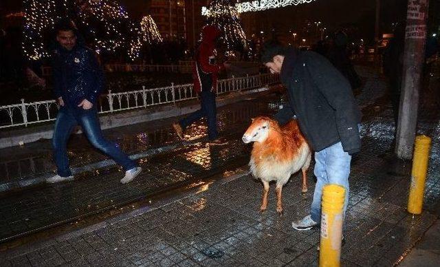 İstiklal Caddesindeki Yeni Yıl Coşkusuna Taksime Koyunuyla Katıldı 1