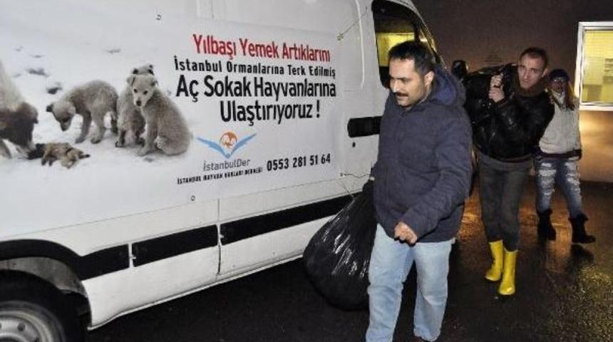 Yılbaşı Gecesi Sahipsiz Sokak Hayvanları İ&ccedil;in Yiyecek Topladılar