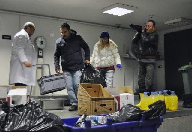 Yılbaşı Gecesi Sahipsiz Sokak Hayvanları İçin Yiyecek Topladılar 1