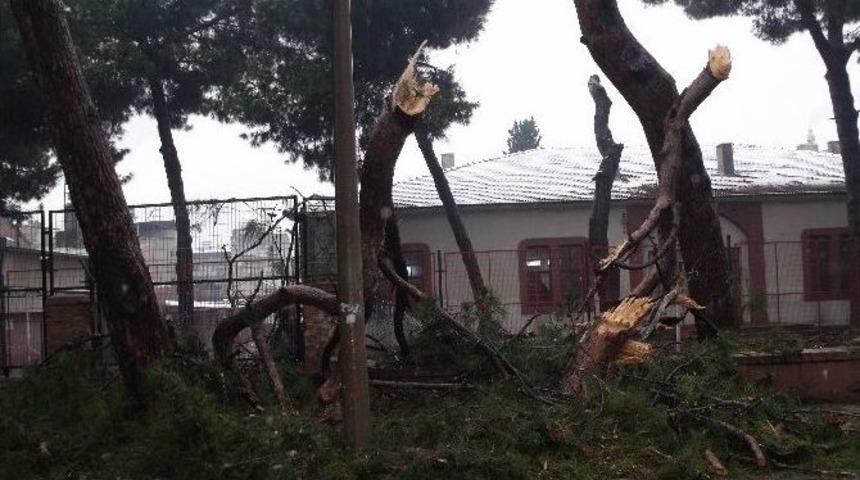 Salihli&rsquo;de Kar Mesaisi