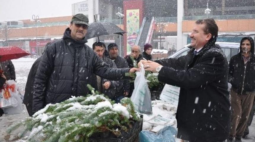 Orman İşletmesi &Uuml;cretsiz Fidan Dağıttı