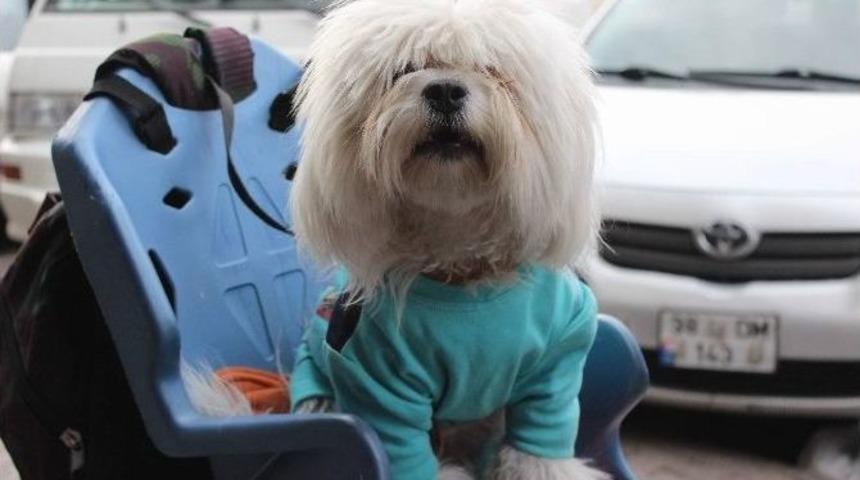 (&ouml;zel Haber) Paşa&rsquo;nın Bisiklet Tutkusu