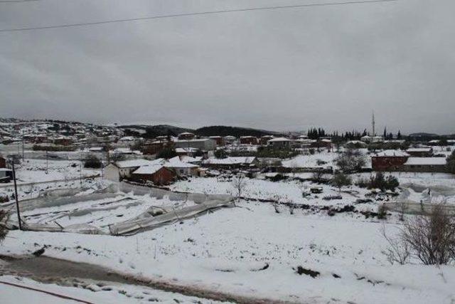 Kar Mağduru Seracılara Belediyeden Destek Sözü