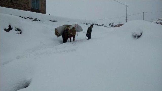 Kar Hayatı Olumsuz Etkiliyor