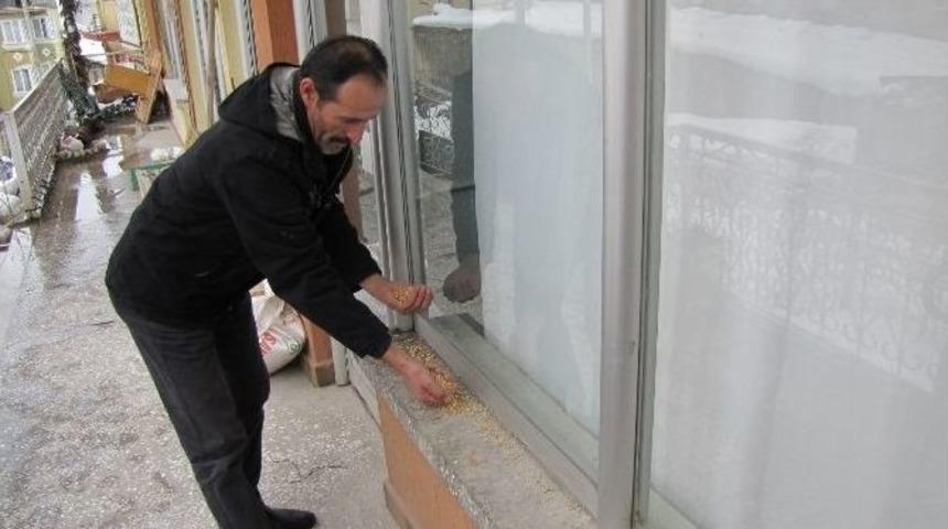 Hisarcık Merkez Avcılık Ve Atıcılık İhtisas Kul&uuml;b&uuml;nden Kuşlara Yem
