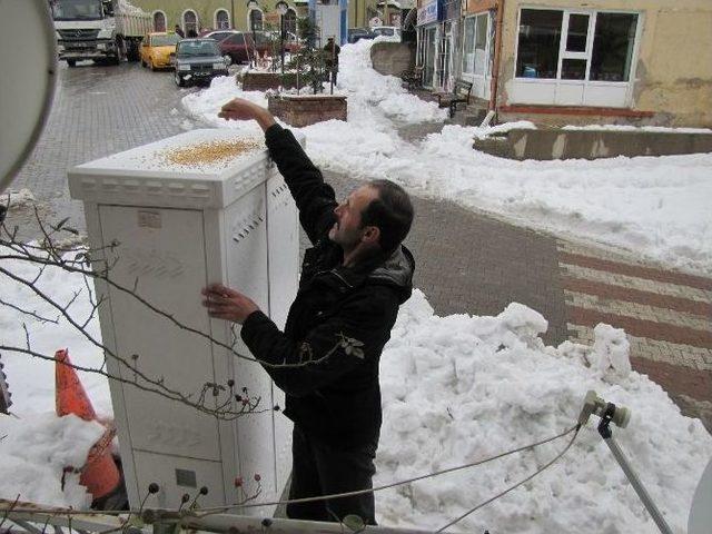 Hisarcık Merkez Avcılık Ve Atıcılık İhtisas Kulübünden Kuşlara Yem