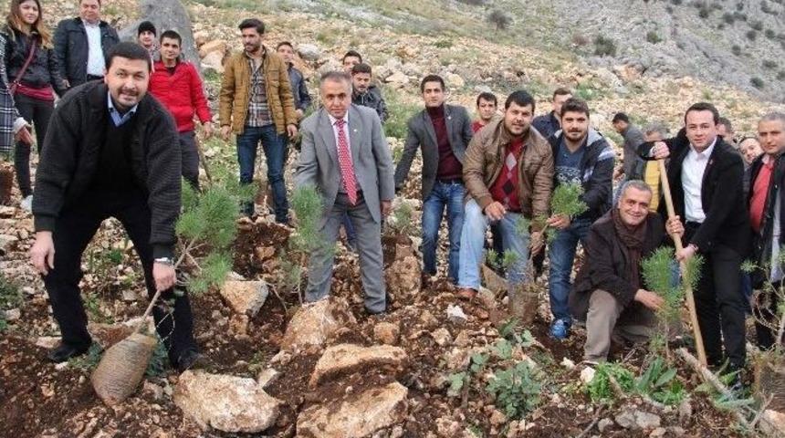 Gen&ccedil;ler 50 &Ccedil;am Fidanını Toprakla Buluşturdu